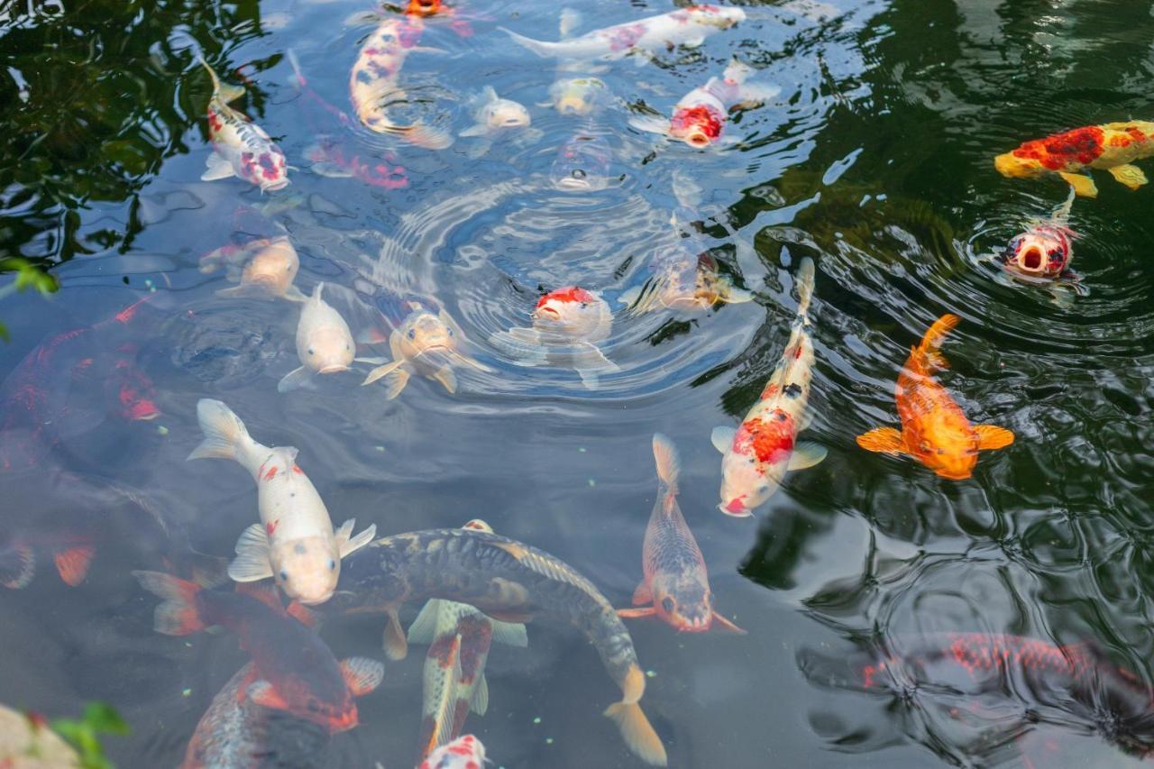 Villa Hotel Du Thuyen Da Lat Eksteriør billede