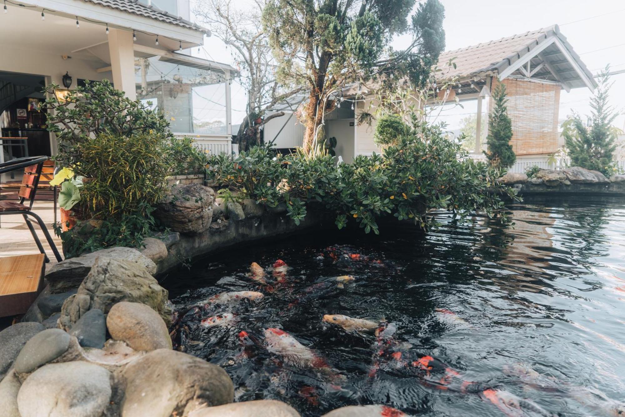 Villa Hotel Du Thuyen Da Lat Eksteriør billede